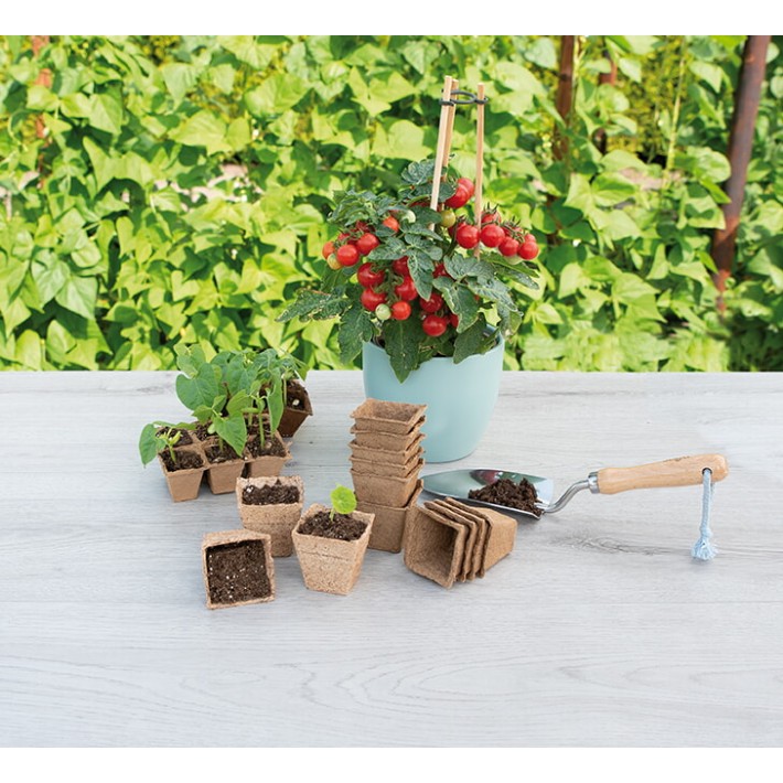 SOGO Biodegradable pots square 6cm 10pcs