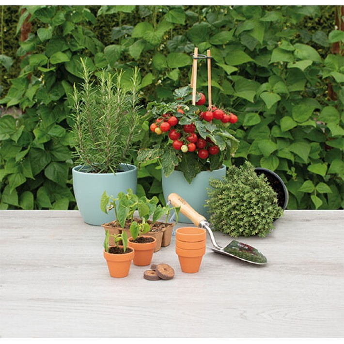 SOGO Terracotta Garden Pot 5/6cm 9x