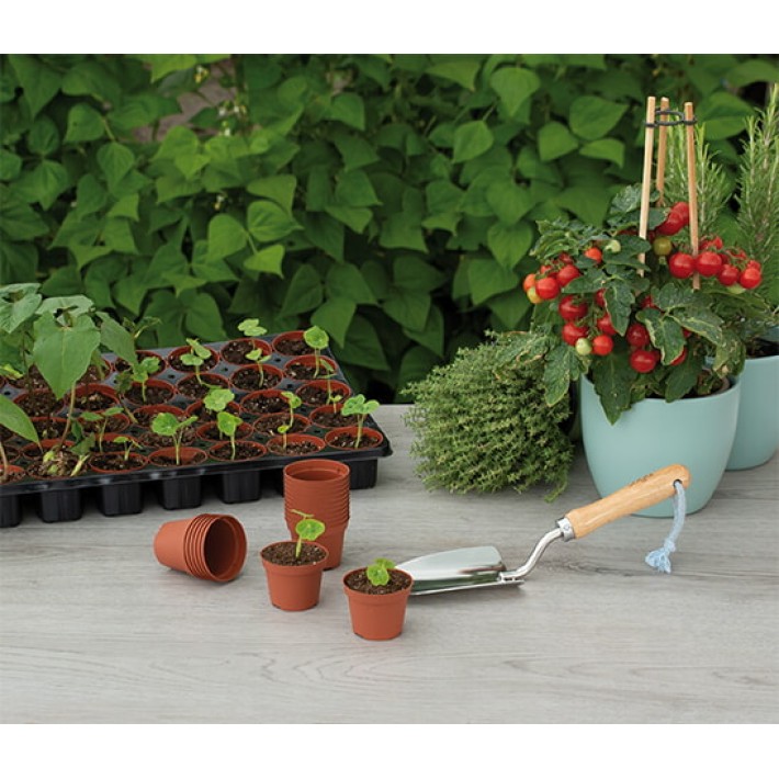 SOGO Plastic Plant Pot 6cm 30pcs.
