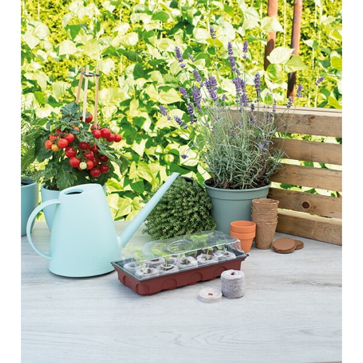 SOGO Greenhouse + 10 grow plugs