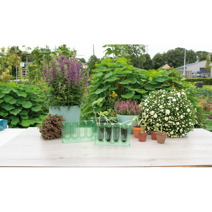 SOGO growingcell booklet 4 compartments 3,5x10cm Set 5 pcs.