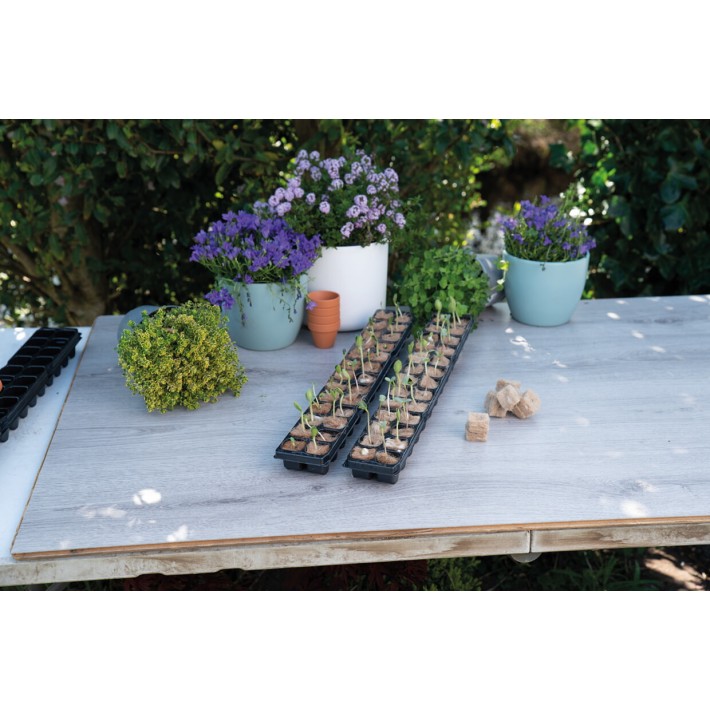 SOGO Sowing trays with bio plugs