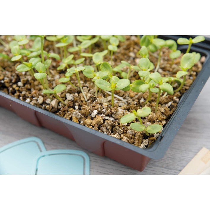 SOGO Vermiculiet box 3.5 ltr