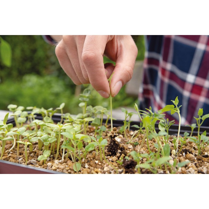 SOGO Vermiculiet box 3.5 ltr