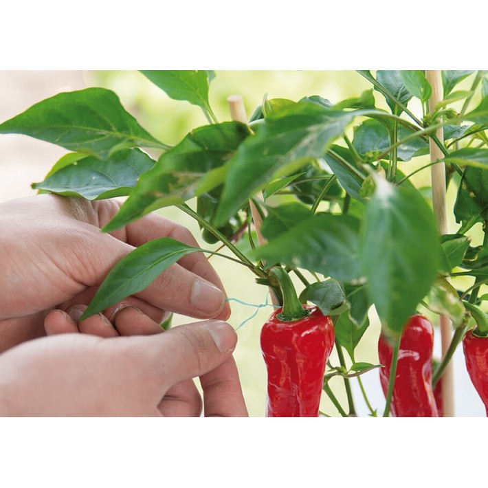 SOGO Garden wire, blue, with cutter, 100m