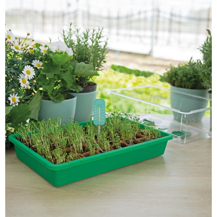 SOGO Propagator Thermometer