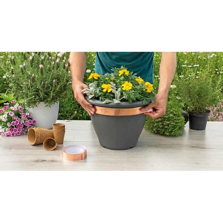 SOGO Ruban de cuivre anti-limace 5m