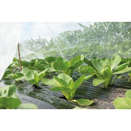 SOGO Insect Protection Net 2,1x4.5m