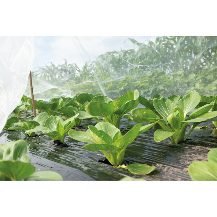 SOGO Insect Protection Net 2,1x4.5m