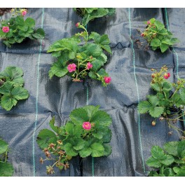 SOGO Weed control fabric 2x5m