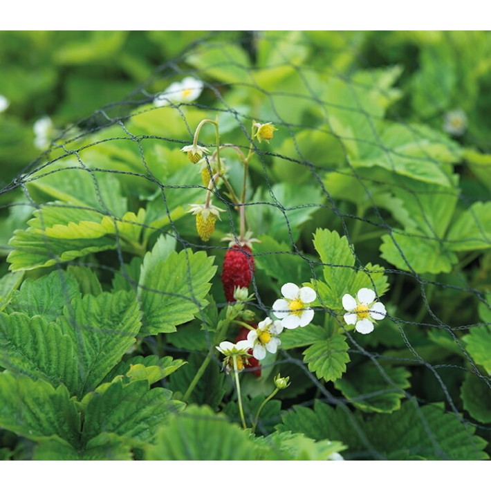 SOGO Garden net 5x10m