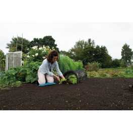 SOGO Net Grow Tunnel