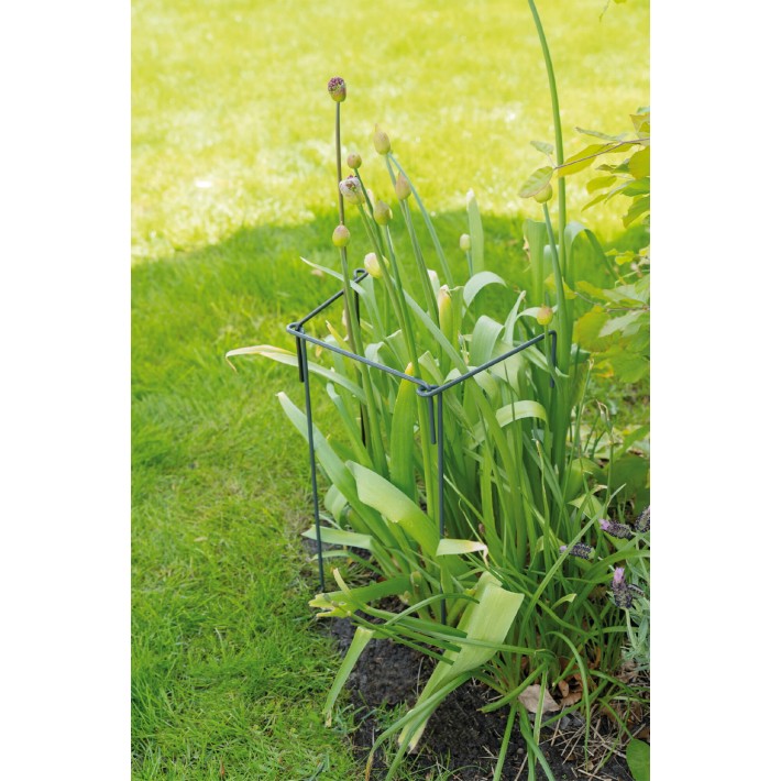 SOGO Plantsupport 3st 17x45cm