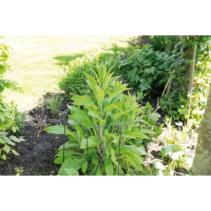 SOGO Plantsupport link 3st 30x76cm