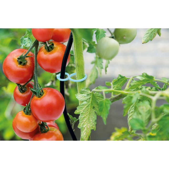 SOGO Clips pour tomates 15st