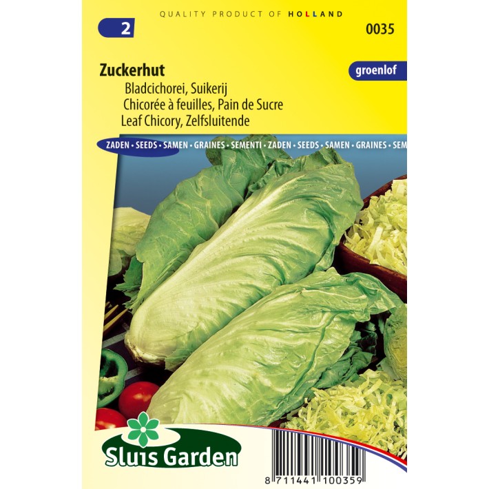 Leaf Chicory Zuckerhut