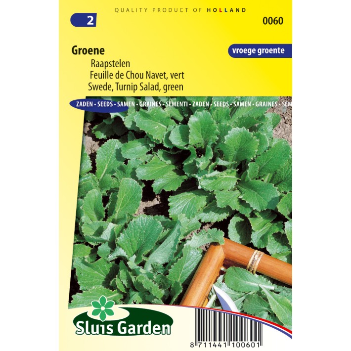 Turnip Salad, Swede Green