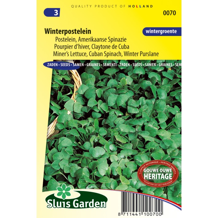 Purslane Winter, Miner's Lettuce Cuban Spinach