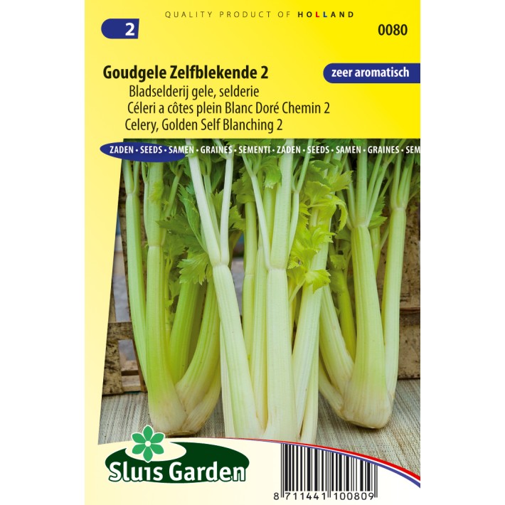 Celery Golden Self Blancing 2