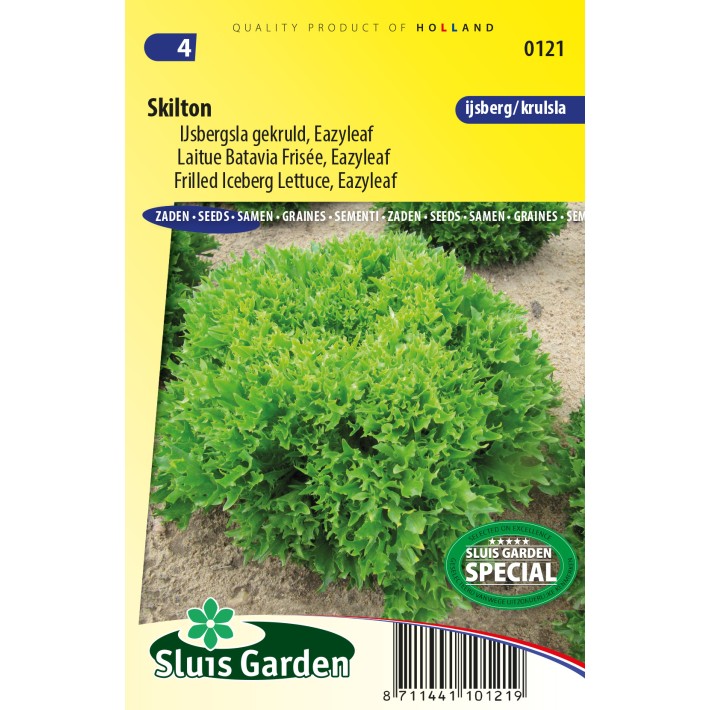Lettuce iceberg frilled Skilton (eazyleaf)