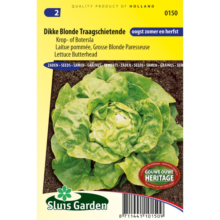 Lettuce Butterhead Dikke Blonde Traagschietende