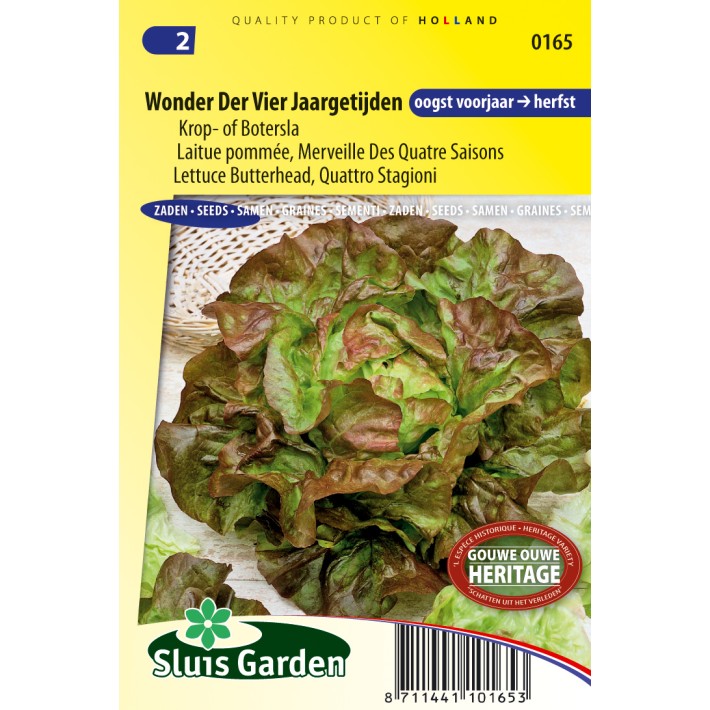 Lettuce Butterhead Quattro Stagione