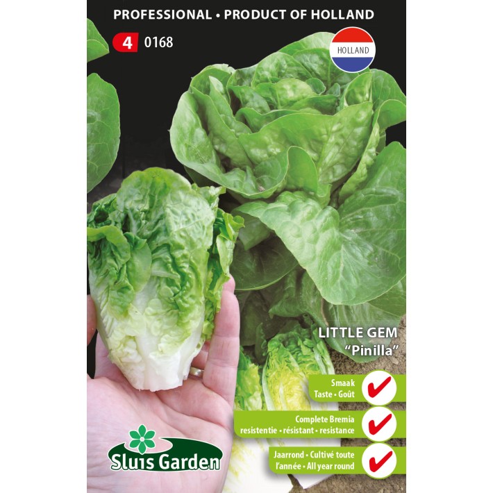 Sla Little Gem Pinilla