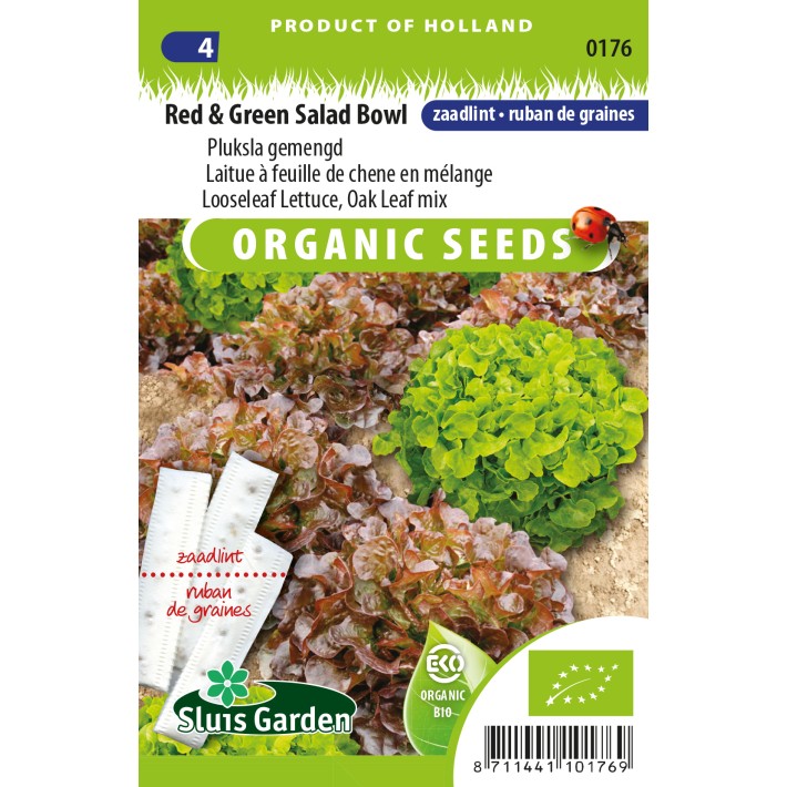 Lettuce Looseleaf Red Salad Bowl  SEEDTAPE