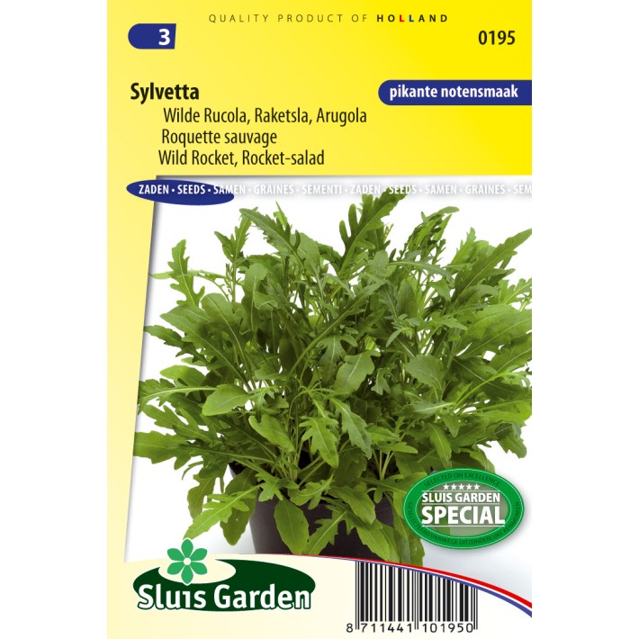 Rucola wild, Sylvetta