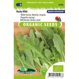 Rucola wild, Rocky Wild Rucola wild, Rocky Wild