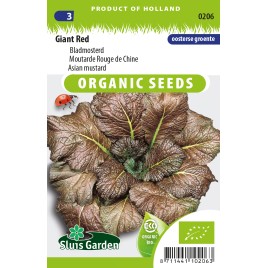 Bladmosterd Red Giant