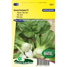 Paksoi Green Fortune F1