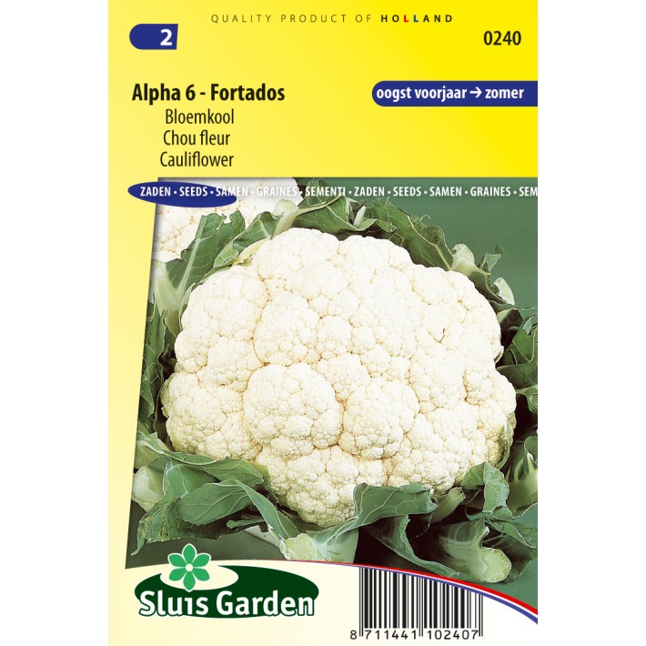 Cauliflower Alpha 6 Fortados