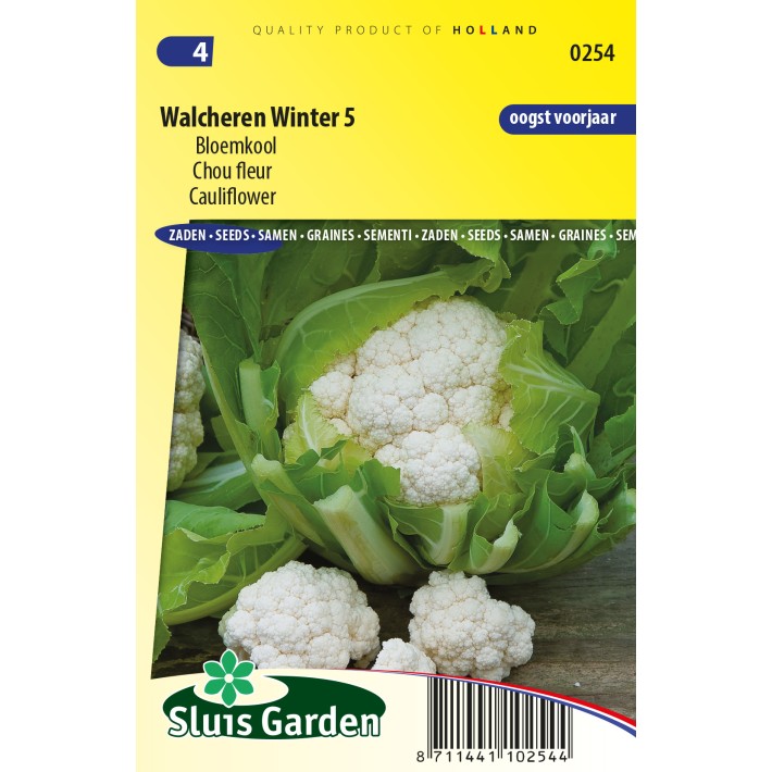 Cauliflower Walcheren Winter 5