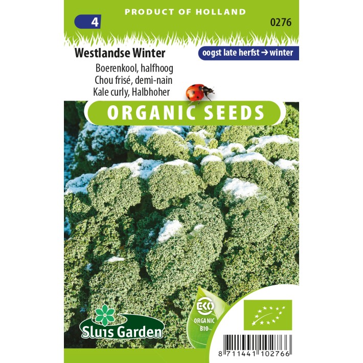 Curly Kale Westlandse Winter