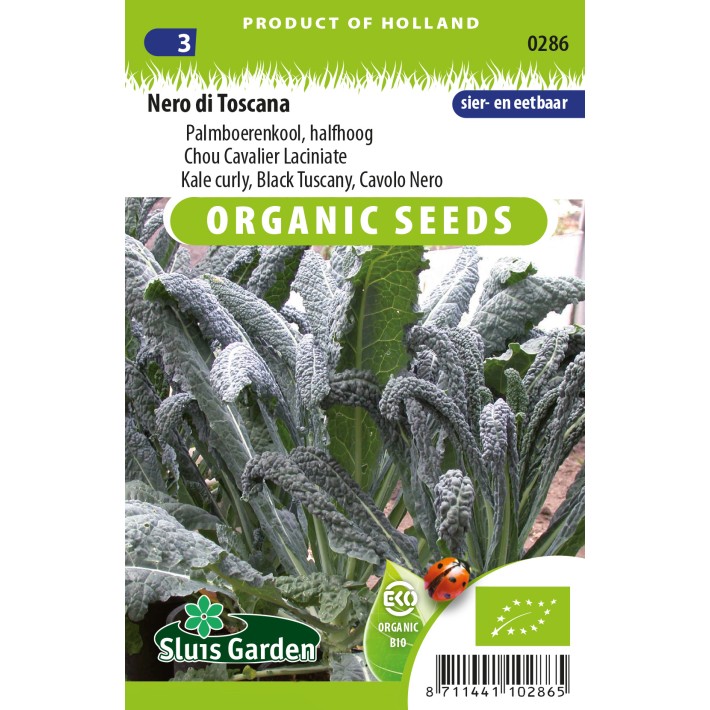 Curly Kale Nero di Toscana (Black Tuscany)