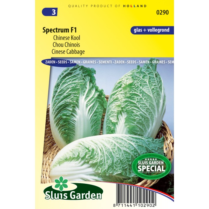 Chinese cabbage Spectrum F1