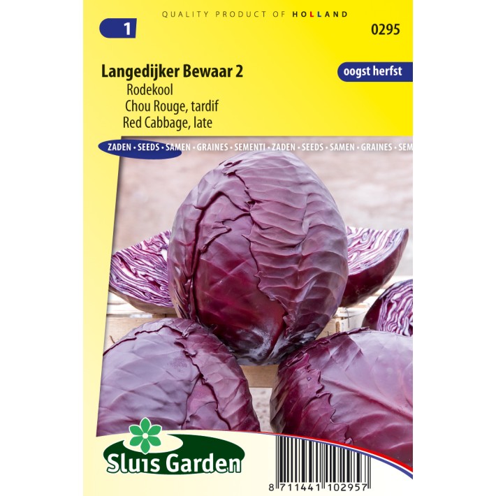 Red Cabbage Langedijker Bewaar 2