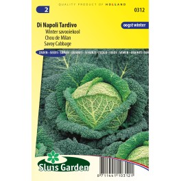 Savoy cabbage, Di Napoli Tardivo