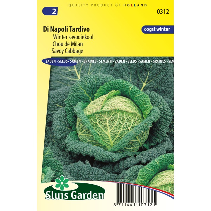 Savoy cabbage, Di Napoli Tardivo