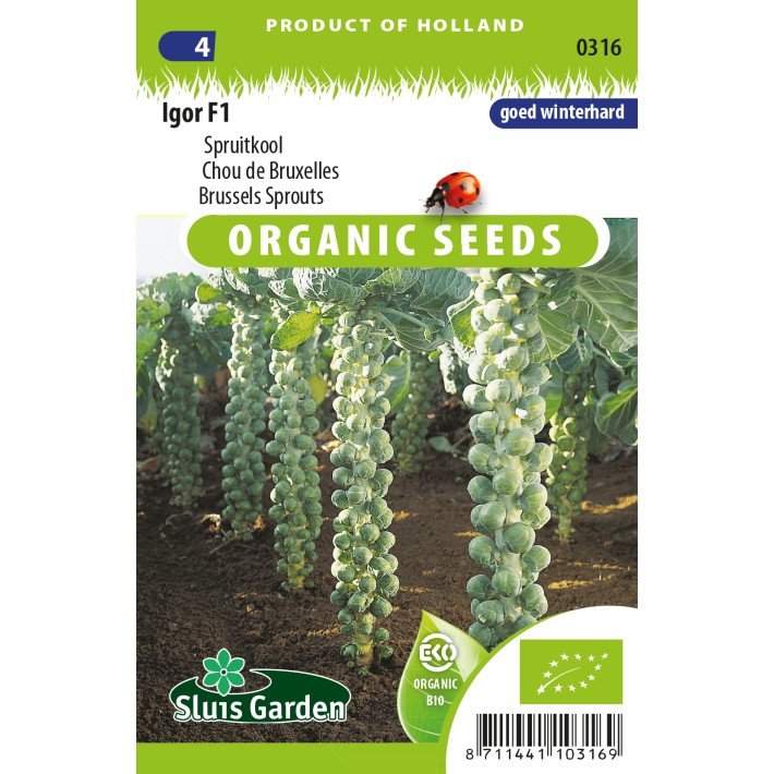 Brussels sprouts Igor F1