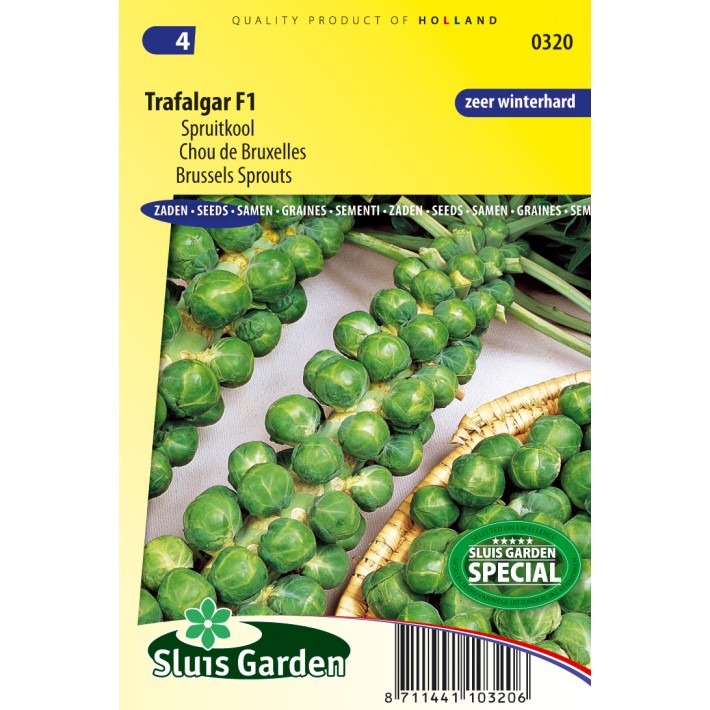 Brussels sprouts Trafalgar F1