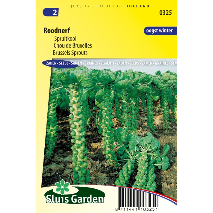 Brussels sprouts Roodnerf
