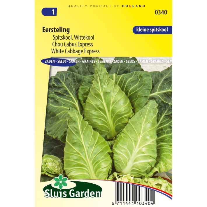 White Cabbage Express