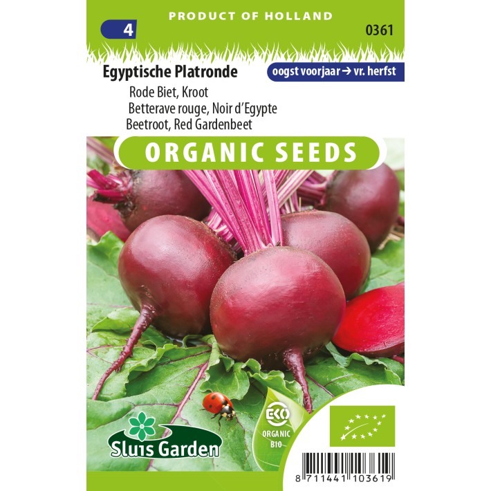 Beetroot, Red Gardenbeet Egyptian flat round