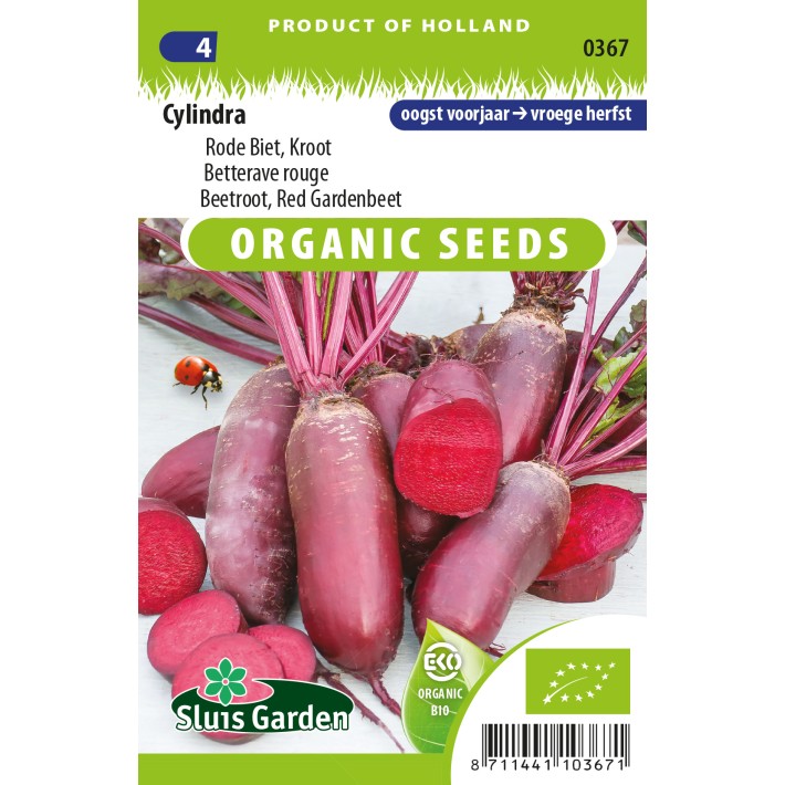 Beetroot Cylindra
