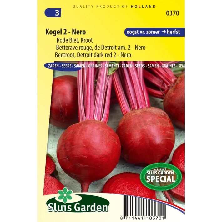 Beetroot, Red Gardenbeet Detroit dark red 2 Nero