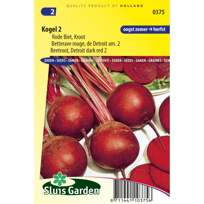 Beetroot, Red Gardenbeet Detroit dark red 2