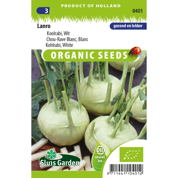 Kohlrabi Lanro white