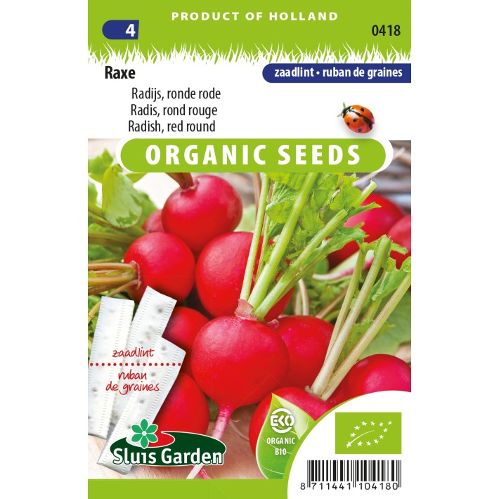 Radish, red round Raxe  SEEDTAPE